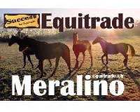 Meralino by Equitrade