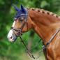 Preview: Passier; Marcus Ehning II - schwarz