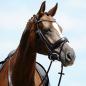 Preview: Passier; Atlas - Reithalfter Spezial - schwarz