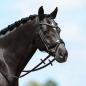 Preview: Passier; PASSIERBLU Spirit - schwarz