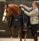 Preview: Horseware; Pony Liner 300g - navy