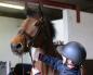 Preview: Belvoir; Step 1 Tack Cleaner Lederreinigungs-Handschuh