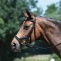 Preview: Busse; Zaum Feeling - schwarz