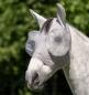 Preview: Horseware; Defense Flymask - silver