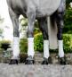Preview: Horseware; Amigo Fleece Bandagen - weiss