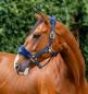 Preview: Horseware; Signature Grooming Halfter - navy