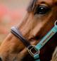 Preview: Horseware; Signature Competition Halfter - braun / blue haze