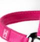 Preview: Horseware; Newmarket Halfter & Führstrick - witney pink