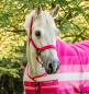 Preview: Horseware; Newmarket Halfter & Führstrick - witney pink