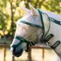 Preview: Horseware; RAMBO Plus Flymask - outmeal / green