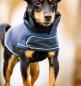 Preview: Horseware; Signature Dog Rain Coat - navy - XS
