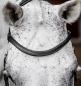Preview: Horseware; MICKLEM Competition Bridle - schwarz