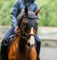 Preview: Horseware; Ionic Calming Face Mask - schwarz