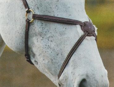 Shires; Mexikanisches Nasenband  (Salisbury) - schwarz