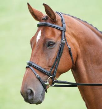 Shires; "Bodenham"  (Salisbury) - schwarz