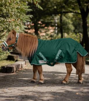 Waldhausen; Shetty Regendecke Light - trannengrün