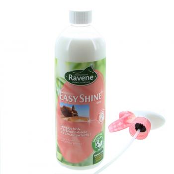 Ravene; Easyshine Spray - 750ml