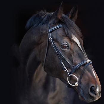 Horseware; AMIGO Bridle - schwarz