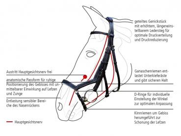 Preview: Busse; Zaum Feeling - schwarz