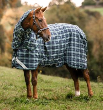 Horseware; RHINO Plus Turnout 250g VL - Hunter Check