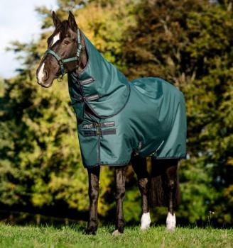 Horseware; AMIGO Ripstop 900D Plus Turnout 0g - dynasty green /navy