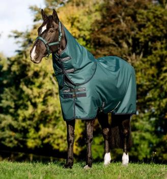 Horseware; AMIGO Ripstop 900D Plus Pony Turnout 100g - dynasty green