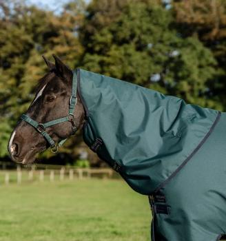 Preview: Horseware; AMIGO Ripstop 900D Plus Pony Turnout 100g - dynasty green