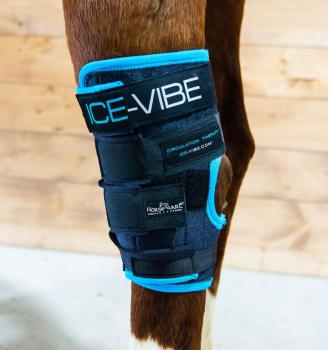 Horseware; Ice-Vibe Hock Wrap (Sprunggelenk) - schwarz/aqua