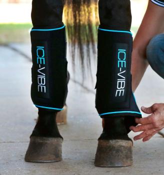 Horseware; Ice-Vibe Gamaschen - schwarz/aqua