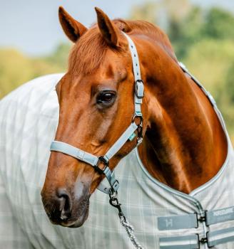 Horseware; Newmarket Halfter & Führstrick - witney charconal