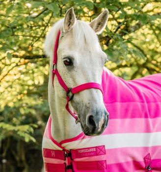 Horseware; Newmarket Halfter & Führstrick - witney pink