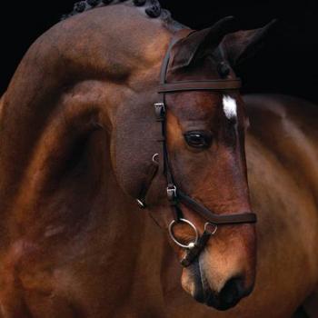 Horseware; RAMBO MICKLEM Original Competition - dark havana