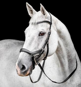 Horseware; MICKLEM Competition Bridle - schwarz