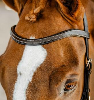 Preview: Horseware; MICKLEM Competition Bridle - dark havana