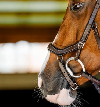 Preview: Horseware; MICKLEM Competition Bridle - dark havana
