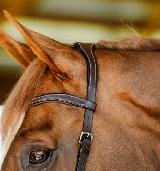 Preview: Horseware; MICKLEM Competition Bridle - dark havana