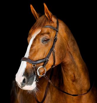 Horseware; MICKLEM Competition Bridle - dark havana