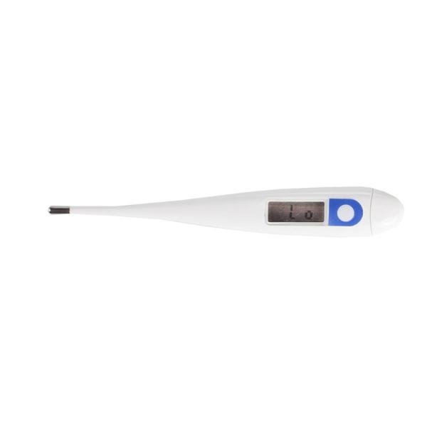 Digitales Thermometer