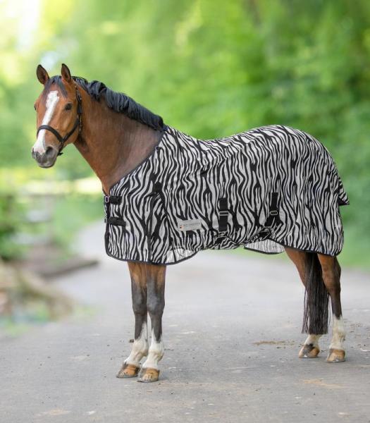 Waldhausen; Fliegendecke Zebra