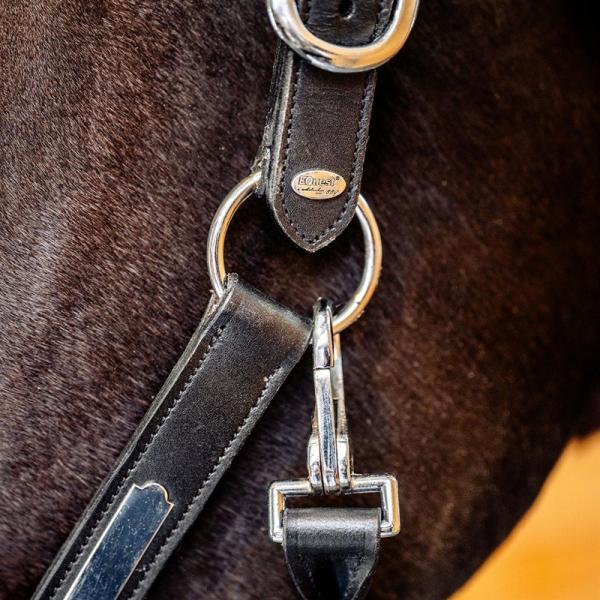 Equest; Lederhalfter Inscribe - schwarz