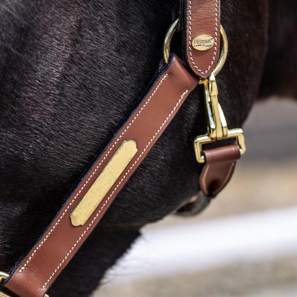 Equest; Lederhalfter Inscribe - cognac