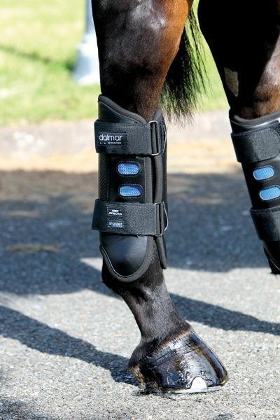 Horseware; DALMAR Eventer Back - schwarz