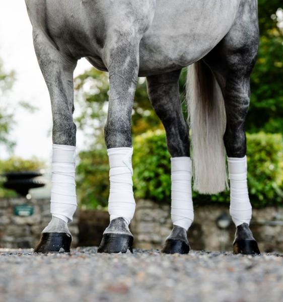 Horseware; Amigo Fleece Bandagen - weiss