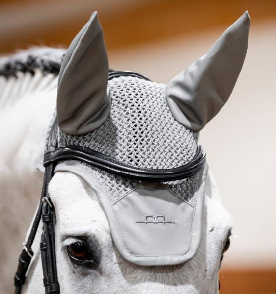 AA; Fliegenohren - silvershade