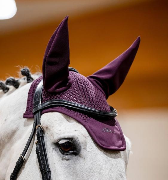 AA; Fliegenohren - primatova