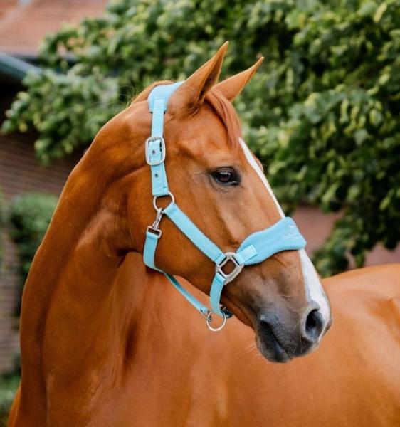 Horseware; Signature Grooming Halfter - blue haze