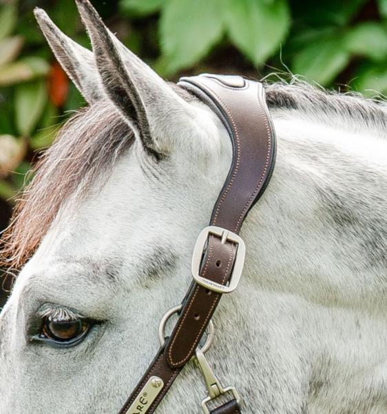 Horseware; Signature Braided Halfter - braun / navy / huntergreen