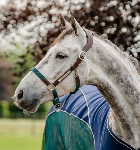 Horseware; Signature Braided Halfter - braun / navy / huntergreen