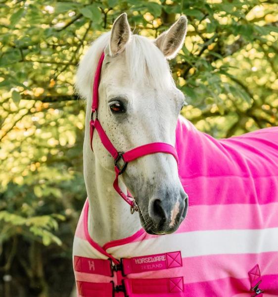 Horseware; Newmarket Halfter & Führstrick - witney pink