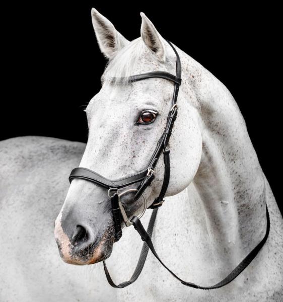 Horseware; MICKLEM Competition Bridle - schwarz